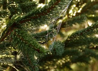 Co to są indywidualne potrzeby edukacyjne?