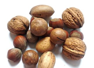 Po czym poznać ucznia zdolnego?