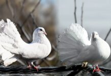 Skąd uczyć się słówek? Skąd uczyć się słówek?