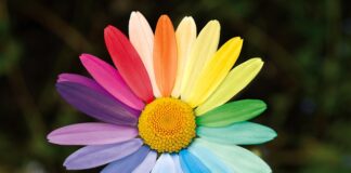 Jak pracować z klasą o zróżnicowanym poziomie wiedzy i umiejętności?