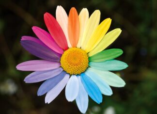 Jak pracować z klasą o zróżnicowanym poziomie wiedzy i umiejętności?