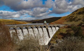 Ile zarabia początkujący coach?