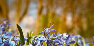 Czy język hiszpański jest przydatny?