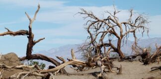 Co nie jest źródłem historycznym?