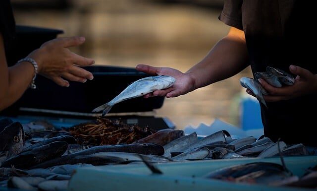 Jak sprzedawać w internecie kurs?