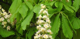 Jaka matura na marketing? Jaka matura na marketing?