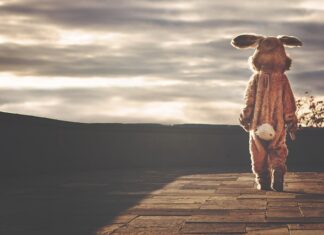 W jaki sposób wymagania programowe zostały dostosowane do indywidualnych potrzeb ucznia?