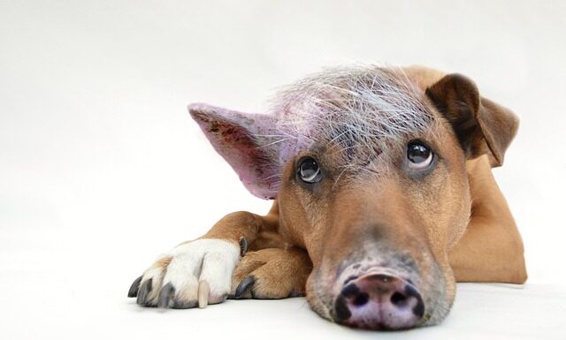 Czego uczy coaching?