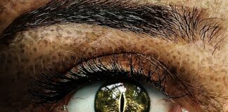 Jak wspierać każdego ucznia w jego rozwoju?