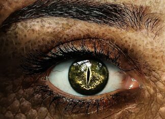 Jak wspierać każdego ucznia w jego rozwoju?