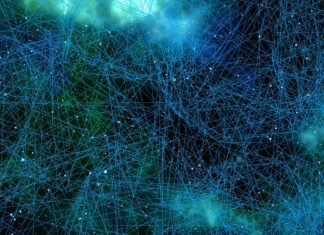 Która część mózgu odpowiada za uzależnienie?