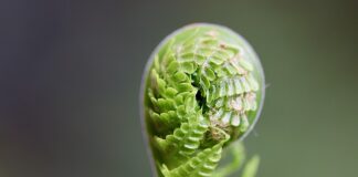 Jak rozwijać w sobie empatię?