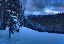 Czy po licencjacie ma się wyższe wykształcenie?