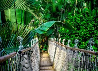 Co to są kursy? Co to są kursy?