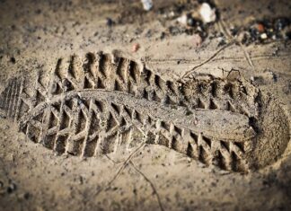 Czy oceny liczą się na studia 2023?