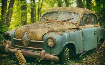 Co jest dobre na pamięć i koncentrację domowe sposoby? Co jest dobre na pamięć i koncentrację domowe sposoby?