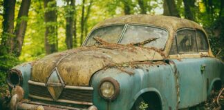 Jaki olej na poprawę pamięci?