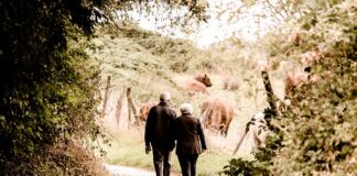 Co zrobić żeby mieć wyższą emeryturę?