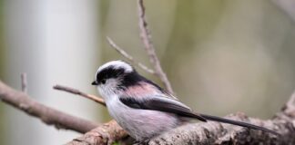 Na czym opiera się polska energetyka?