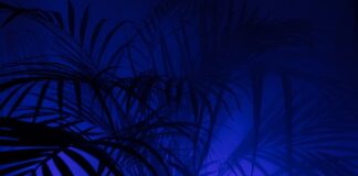 Jaki status musi mieć PKK żeby zapisać się na egzamin praktyczny? Jaki status musi mieć PKK żeby zapisać się na egzamin praktyczny?