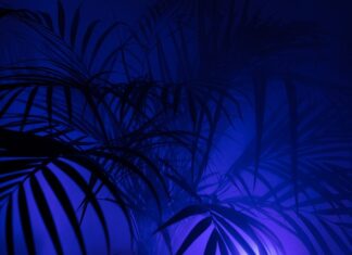 Czy trudno się dostać na PW?