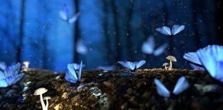 Co tworzy strukturę przestrzenną stanowiska pracy?